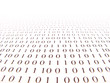 binary number