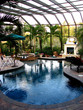 luxurious pool in paradise