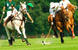 open de france 2007