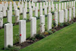 cimitero di guerra cimitero di guerra