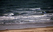 older couple walking along the shore 1