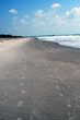 beach scene from coco beach florida with white san