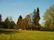rasen im park