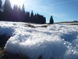 cristaux de neige cristaux de neige