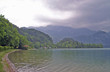 am see am see