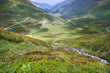 summer alpin colorful valley
