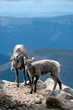 living on the edge