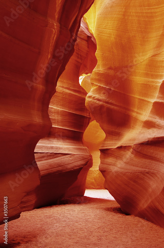 Photo: golden hue golden hue