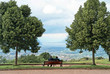 assis sur un banc