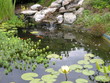 bassin