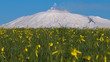 prato etna prato etna