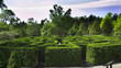 maze