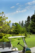 golf cart