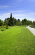 wide angle view