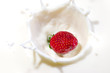 Photo: fresh strawberry splashing into the milk fresh strawberry splashing into the milk