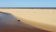 Foto: beach beach