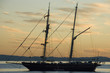 young endeavour