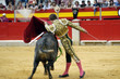 torero-05