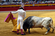 torero-63