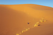 dunes alone-2