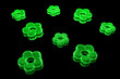 gemme fleur vert fond noir gemme fleur vert fond noir