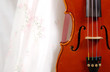 violinist in white
