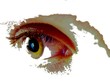 auge
