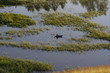 fisherman on the lake fisherman on the lake