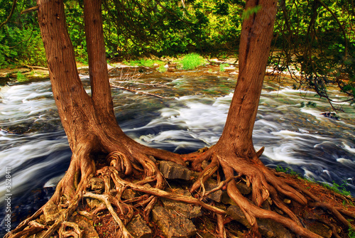 Photo: river river