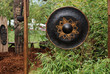 gong gong