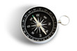 magnetic compass