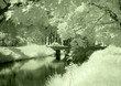 castle pond in infrared