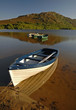 wooden rowing boats