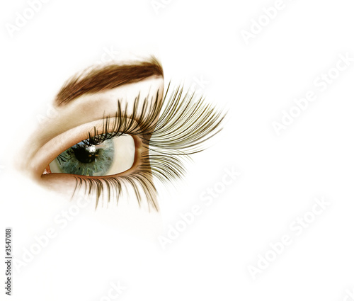 Foto: Auge Auge
