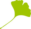 Vektor: Ginkgo Ginkgo