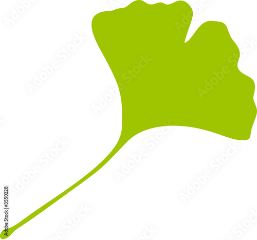 Ginkgo Ginkgo