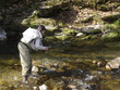 Le moucheur dans la rivière