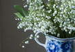 Lilly of the valley - spring flowers of May