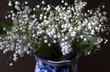 White spring flowers in a colorful cup