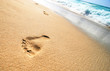 Foot Prints on Tropical Sandy Beach Foot Prints on Tropical Sandy Beach