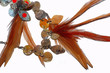 plumes