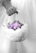 flower girl