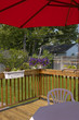 Summertime weather in the back yard in May
