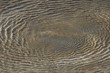 River Ripples River Ripples