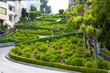 View of Lombard Street, the crookedest street in the worl