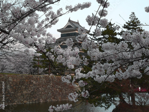 Japanese castle Japanese castle