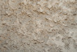 dried up mud dried up mud
