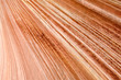 USA. Arizona. Paria Canyon. Vermilion Cliffs. The Wave. USA. Arizona. Paria Canyon. Vermilion Cliffs. The Wave.