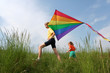 Flying kite