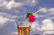 Cocktail mit Trinkhalm gegen bewölktem Himmel